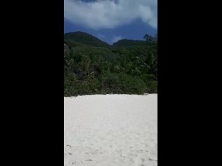 Пляж Гранд анс. Сейшелы 2024