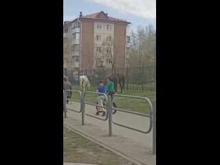 Главное сзади к ним не подходить - Лариса Навицкая