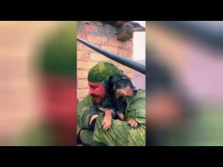 В Оренбургской области неадекватные люди бросили свою собаку в затопленном доме  Неравнодушные чудом