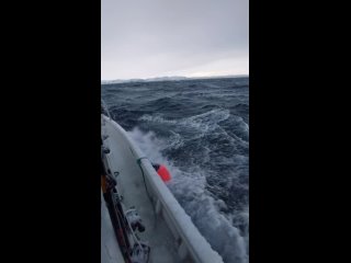 Прогулочное судно потеряло ход у берегов Териберки

Сп