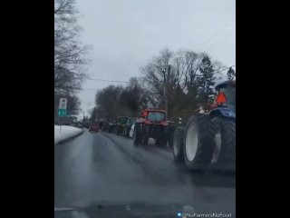 Farmer protests are reaching Canada, especially in Quebec, where protests have gained momentum in recent days over the crisis