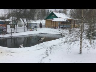 Видео от Валентины Клюевой