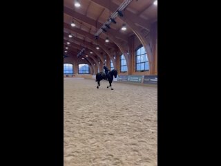 Видео от Аренда лошадей Москва и область