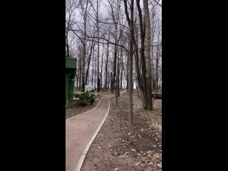 Видео от “Нижегородская городская федерация армрестлинга“