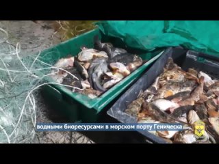В Херсонской области правоохранители пресекли незаконный вылов рыбы