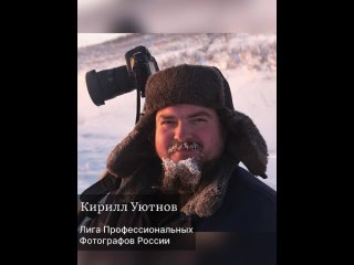 Кирилл Уютнов - фотограф дикой природы