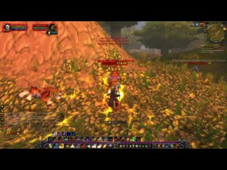 World of Warcraft Classic Задание: Охота на тигров (квест 3) (Альянс Паладин)