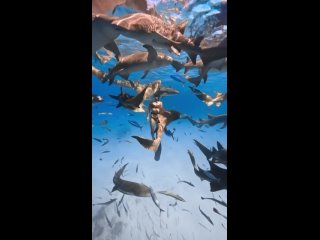 Видео от ЭМИГРАНТЫ 360° | Шри-Ланка - Куба - Аргентина ..