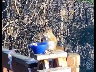 Обо всём на свете