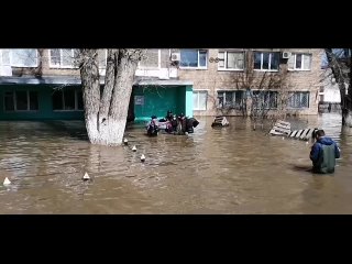 ❗️В Оренбурге полицейский Руслан Согомонян спас старушку из подтопленного дома