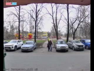 🇷🇺 В Санкт-Петербурге две собаки сорвались с поводка и бросились в сторону гуляющего мальчика