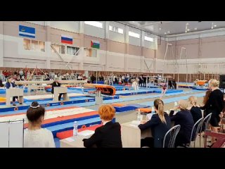 Видео от Спортивная гимнастика. Школа им. Н.Г. Толкачева