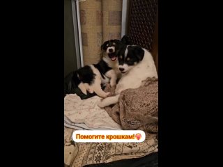 Видео от Ольги Потаповой