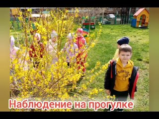 Видео от МБДОУ № 5 “Аленький цветочек“ г. Тихорецка