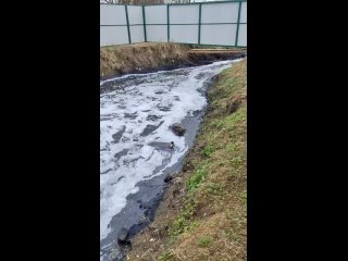 Видео от ВООП Ивановская область