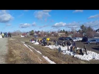 В Илекском районе спасатели вывезли из зоны подтопления стадо свиней и коз
