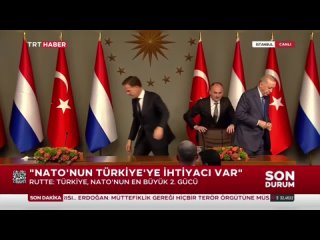 Президент Турции Эрдоган не подал руки премьеру-педерасту Нидерландов Рютте.