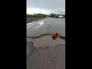 Цветы на дороге смерти в Оренбуржье