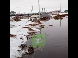 «Дорогу затопило, а это только начало таять. В резиновых сапогах уже не пройти, нужны болотные»