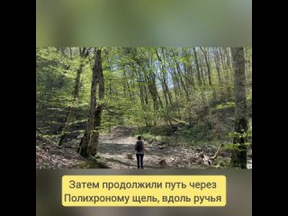 От с. Виноградное, через Буковую рощу, Полихронову щель и можжевеловую рощу