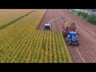 Как собирают урожай в Китае