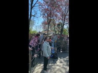 Толпа собралась возле уличного вольера для панд в Московском зоопарке