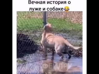 Видео от Настоящая девушка