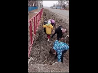Видео от МОУ Толстовская СОШ