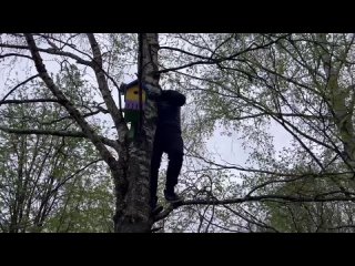 Video by МБОУ СОШ Тимоново  Корпус 1 (МБДОУ 57)
