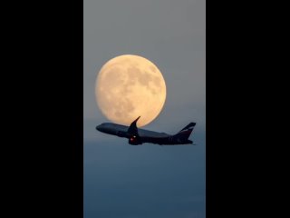 Вы знали, что в Лобне можно запечатлеть в одном кадре самолёт и луну?