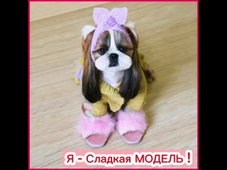 Милая собака ши-тцу Малинка в вязаном Костюме Болеро. Одежда для собак.