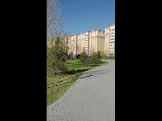 video_20240430_081517.mp4