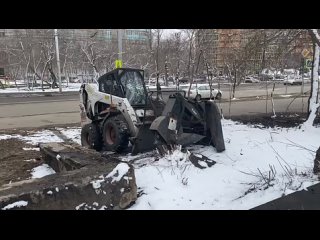 «Пенькогрызы» вышли на улицы города