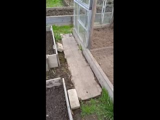 Video by Томатомания с Виктором. Всё о саде.
