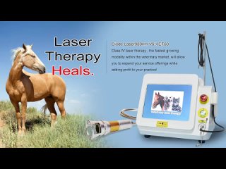 Veterinary laser therapy equipment TRIANGEL V6-VET60