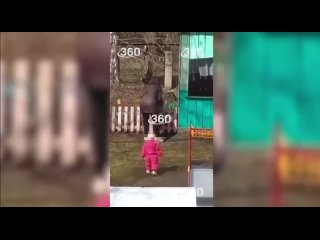 Скандал в Нижегородском саду: двухлетнюю девочку повесили на забор