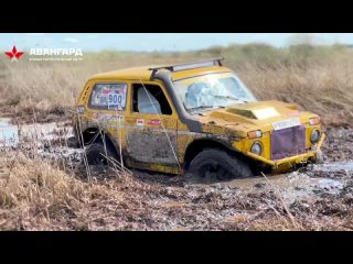 Чемпионат Юга Нижегородской Области