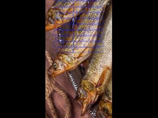 Видео от Рыба Карелии