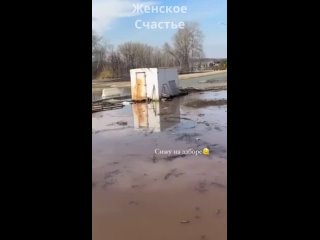 Дом телеведущей Алёны Белой затоплен наводнением в Орске