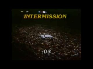 WWF WrestleMania: The Greatest Wrestling Event Of All Time! 03/31/1985