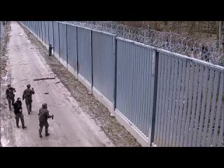Illegal immigrants attack Polish border guard officers