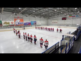 Челнинская любительская хоккейная лига 35 + Автозаводец Феникс