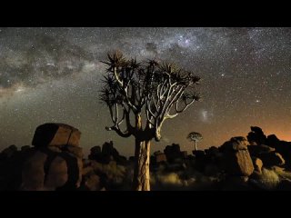 Вы хоть раз бывали в Намбии на Юге Африки Нетронутая природа, потрясающие пейзажи и необыкновенная красота
