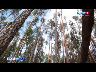 Сегодня в Архангельской области начался пожароопасный сезон