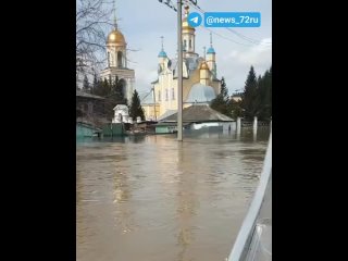 Спасение собак в затопленном районе Подгора в Петропавловске