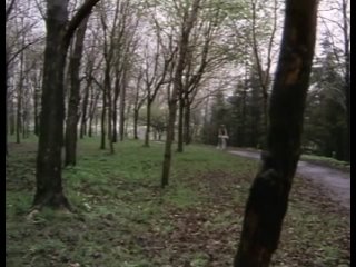 Меч Гидеона (Канада, 1986)драма, триллер, боевик