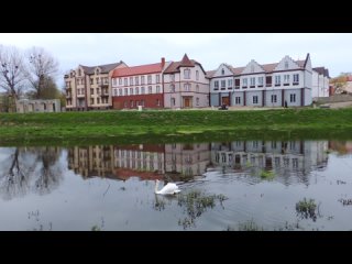 Лебедь на замковом озере в Черняховске  - #Инстербург #Insterburg #Черняховск