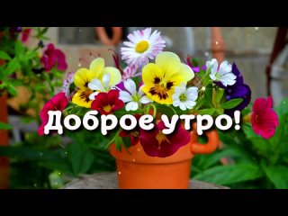 Доброе утро! С пятницей вас, друзья! Красивая музыкальная открытка с добрым утром!