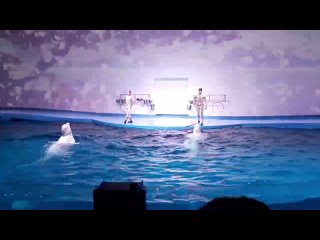 Шоу дельфинов г.Екатеринбург                   “ Океонариум“