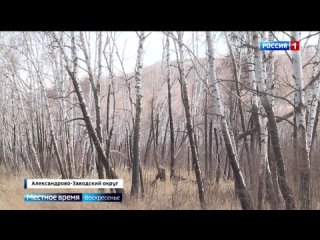Проблему нехватки дров обсудили в нескольких районах Забайкалья